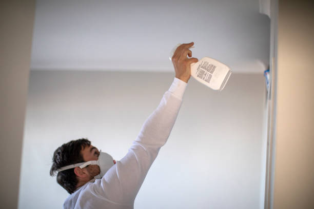 Best Office Mold Removal Services  in Paola, KS