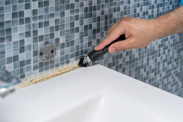 Best Mold Removal Near Me  in Paola, KS